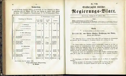 Großherzoglich Badisches Regierungs-Blatt
 66. Jahrgang, Nr. I bis LXX. 