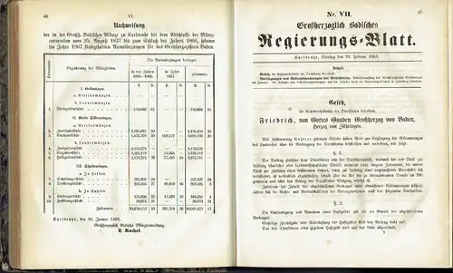 Großherzoglich Badisches Regierungs-Blatt. 