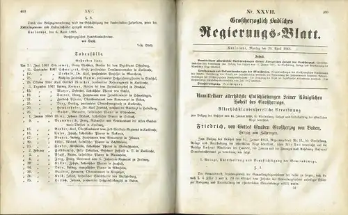 Großherzoglich Badisches Regierungs-Blatt. 