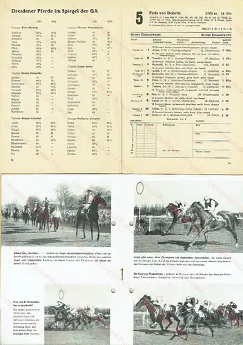 Rennen in Dresden - großes Konvolut von Programmen der Pferderennbahn Dresden 1952 bis 1973
 Amtliche Starterlisten. 