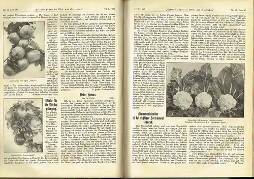 Mit praktischen Ratschlägen für Haus und Hof - Reich mit Abbildungen versehene und lehrreiche Gartenbauzeitschrift unter Beifügung farbiger Kunstbeilagen
 Erfurter Führer im Obst und Gartenbau. 