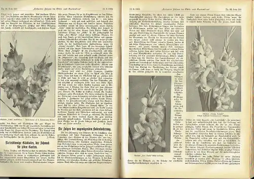 Erfurter Führer im Obst und Gartenbau
 Mit praktischen Ratschlägen für Haus und Hof - Reich mit Abbildungen versehene und lehrreiche Gartenbauzeitschrift unter Beifügung farbiger Kunstbeilagen
 36. Jahrgang 1935. 