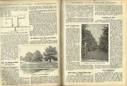 Erfurter Führer im Obst und Gartenbau
 Mit Nebenblatt Praktische Ratschläge für Haus und Hof - Reich illustrierte, praktische Wochenschrift für Jedermann
 6. Jahrgang: Heft 1/1905 bis 52/1906. 