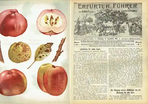 Erfurter Führer im Obst und Gartenbau
 Mit Nebenblatt Praktische Ratschläge für Haus und Hof - Reich illustrierte, praktische Wochenschrift für Jedermann
 6. Jahrgang: Heft 1/1905 bis 52/1906. 