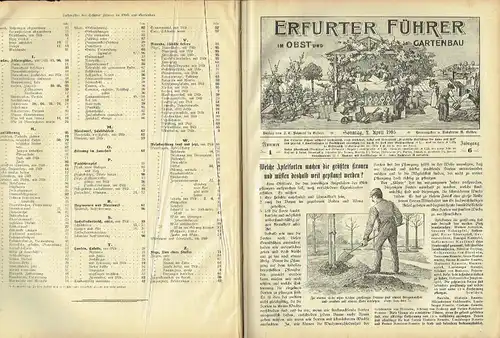 Erfurter Führer im Obst und Gartenbau
 Mit Nebenblatt Praktische Ratschläge für Haus und Hof - Reich illustrierte, praktische Wochenschrift für Jedermann. 