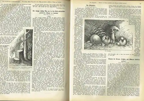 Erfurter Führer im Obst und Gartenbau
 Mit Nebenblatt Praktische Ratschläge für Haus und Hof - Reich illustrierte, praktische Wochenschrift für Jedermann
 4. Jahrgang, Band 2: Heft 40 bis 52/1904 und kompletter 5. Jahrgang Heft 1 bis 51/1905. 