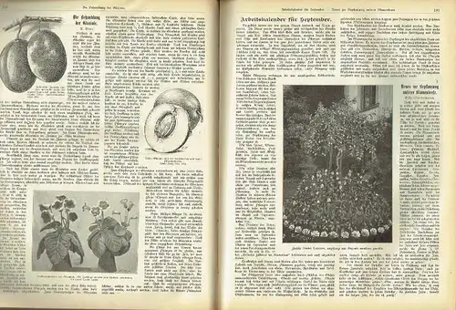 Erfurter Führer im Obst und Gartenbau
 Mit Nebenblatt Praktische Ratschläge für Haus und Hof - Reich illustrierte, praktische Wochenschrift für Jedermann
 4. Jahrgang, Band 2: Heft 40 bis 52/1904 und kompletter 5. Jahrgang Heft 1 bis 51/1905. 