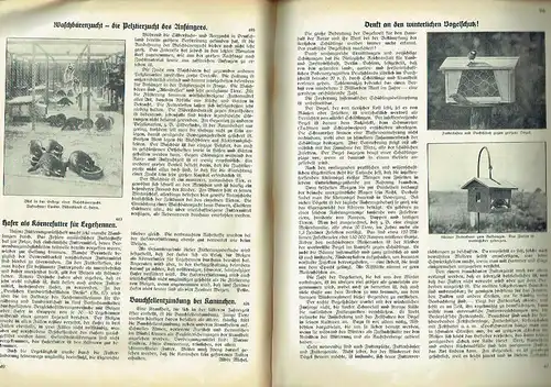 Erfurter Führer im Obst und Gartenbau
 Mit praktischen Ratschlägen für Haus und Hof - Reich mit Abbildungen versehene und lehrreiche Gartenbauzeitschrift unter Beifügung farbiger Kunstbeilagen
 37. Jahrgang 1936. 