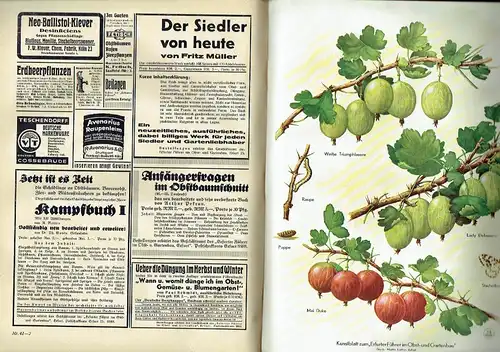 Erfurter Führer im Obst und Gartenbau
 Mit praktischen Ratschlägen für Haus und Hof - Reich mit Abbildungen versehene und lehrreiche Gartenbauzeitschrift unter Beifügung farbiger Kunstbeilagen
 37. Jahrgang 1936. 