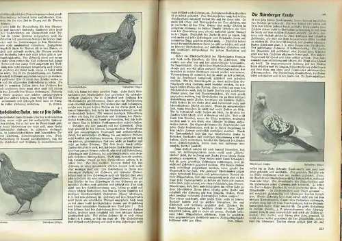 Erfurter Führer im Obst und Gartenbau
 Mit praktischen Ratschlägen für Haus und Hof - Reich mit Abbildungen versehene und lehrreiche Gartenbauzeitschrift unter Beifügung farbiger Kunstbeilagen
 37. Jahrgang 1936. 