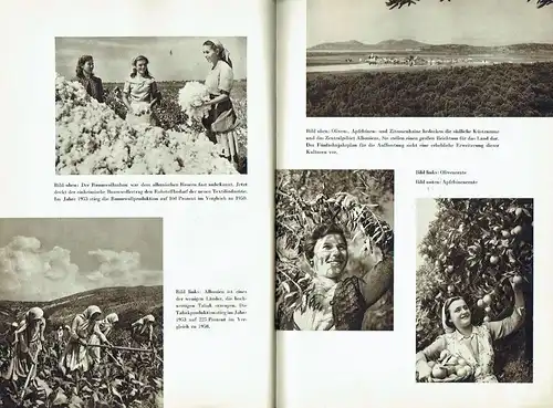 Albanien auf dem Wege zum Sozialismus
 1944 - 29. November - 1954. 