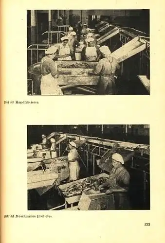 Willy Brandenburg
 Heinrich Krämer: Industrielle Fischverarbeitung
 Ein Lehr- und Handbuch über die Technik und Technologie der Fischbearbeitung und -verarbeitung. 
