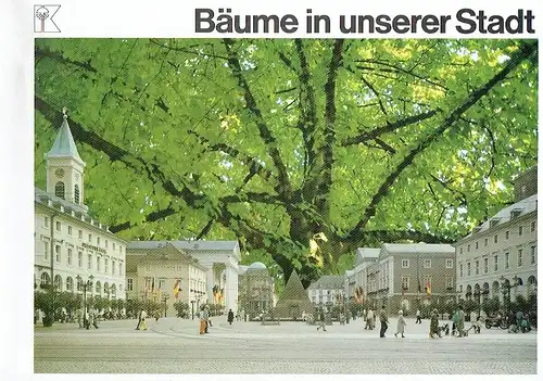 Peter Gautel
 Uta Gautel: Bäume in unserer Stadt. 