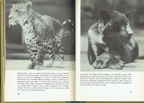 Edward Rice
 Jean Gleason: Cats, Cats, & Cats. 