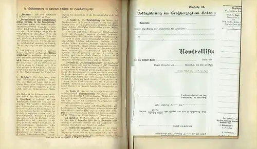 Gesetzes- und Verordnungsblatt für das Großherzogtum Baden
 Jahrgang 1905, Nr. I bis XXIX (Jahrgang komplett). 