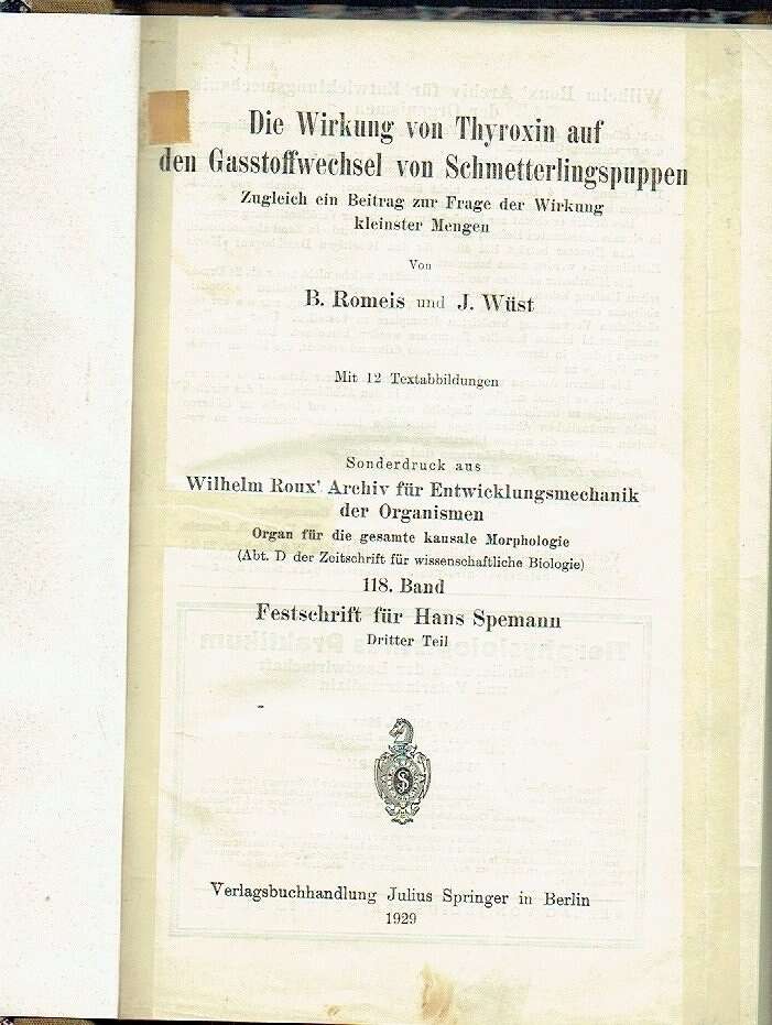 Büttner, Wilhelm: Die Wirkung des Follikelhormons und der gonadotropen