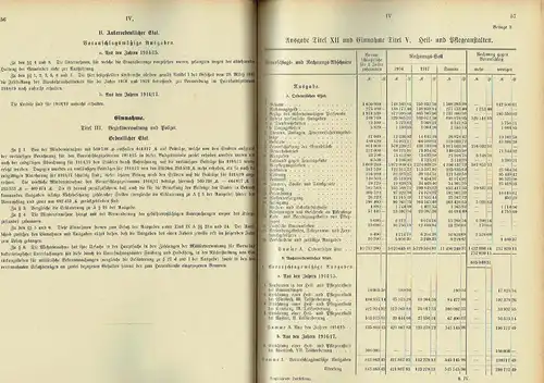 Vergleichende Darstellung der Voranschlagssätze und Rechnungsergebnisse für die Jahre 1916 und 1917. 