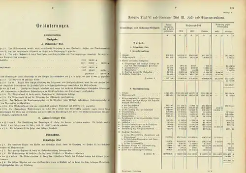 Vergleichende Darstellung der Voranschlagssätze und Rechnungsergebnisse für die Jahre 1916 und 1917. 