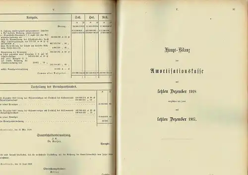 Rechnungs-Nachweisungen für die Jahre 1917 und 1918
 samt den Berichten des landständischen Ausschusses über die Prüfung des Rechnungen der Amortisationskasse, des Domänengrundstocks und der Eisenbahnschuldentilgungskasse...