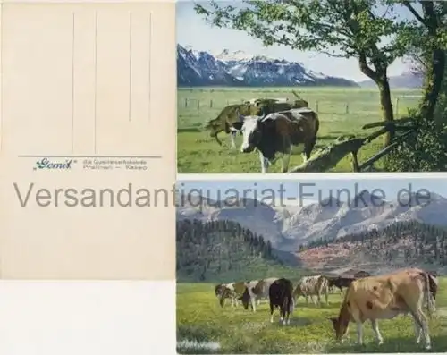 Werbepostkarten für Gemix Qualitätsschokolade, Pralinen & Kakao
 14 Karten, davon 13 verschiedene, eine doppelt, postalisch unbenutzt. 