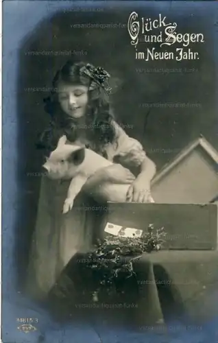 6 Glückwunschkarten zum Neujahr 1917 bis 1920
 original Postkarten. 