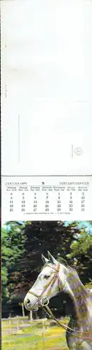 Pferde - Unsere Freunde
 Farbiger Pferde-Kalender 1970, inklusive des Deckblattes enthält der Kalender 13 Pferdepostkarten. 