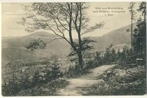 Blick vom Bernhardweg nach Wolfshau-Eulengrund i. Rsgb
 Ansichtskarte / Postkarte, Motiv aus dem Riesengebirge - Wilcza Poręba (Wolfshau) ist heute ein Stadtviertel von Karpacz in Polen, Verlagsnummer 392. 