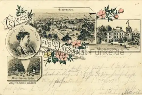 Gruss aus Dresden (Carola, Königin von Sachsen / Albertplatz / Kgl. Villa Strehlen / Allee i. Großen Garten)
 Ansichtskarte / Postkarte, Motiv aus Sachsen, benutzt 30.8. 1905 Dresden. 