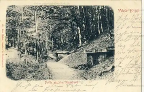 Weißer Hirsch - Partie aus dem Stechgrund
 Ansichtskarte / Postkarte, Motiv aus Dresden / Sachsen, Verlagsnummer 930, benutzt 10.10.1901. 