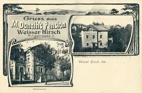 Gruss aus M. Donath's Pension, Weisser Hirsch
 Ansichtskarte / Postkarte, Motiv aus Stadtteil von Dresden, unbenutzt, Jugendstil. 