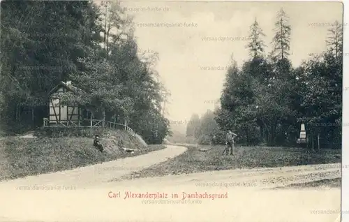 Carl Alexanderplatz am Dambachsgrund
 Ansichtskarte / Postkarte, Motiv aus Bad Berka, unbenutzt. 