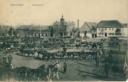 Buttstädt - Rossmarkt
 Ansichtskarte / Postkarte, Motiv aus Thüringen, benutzt 2.6.1909 Olbersleben. 