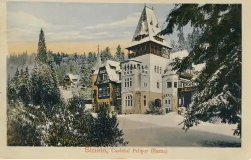 Sinaia - Castelul Pelişor (Earna)
 Ansichtskarte / Postkarte, Motiv aus Rumänien, Verlagsnummer 3084, unbenutzt, Chromolitho. 
