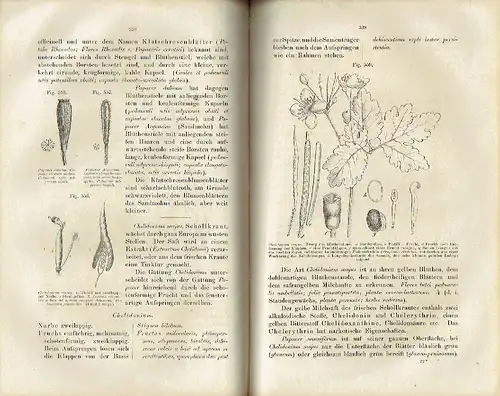 Dr. Hermann Hager: Botanischer Unterricht in 150 Lectionen
 Für angehende Pharmaceuten und studirende Mediciner. 