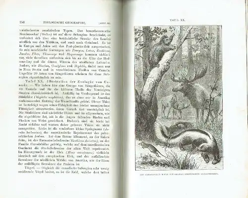 Alfred Russel Wallace: Die geographische Verbreitung der Thiere
 nebst einer Studie über die Verwandtschaften der lebenden und ausgestorbenen Faunen in Ihrer Beziehung zu den früheren Veränderungen der Erdoberfläche. 