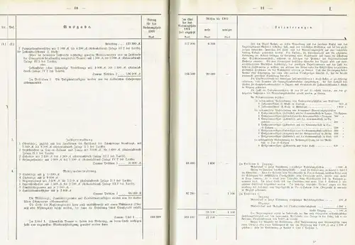 Haushalts-Etat für die Schutzgebiete auf das Rechnungsjahr 1902 nebst Anlagen. 