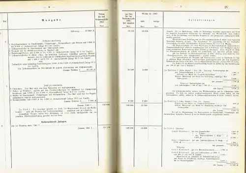 Haushalts-Etat für die Schutzgebiete auf das Rechnungsjahr 1902 nebst Anlagen. 