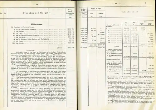 Haushalts-Etat für die Schutzgebiete auf das Rechnungsjahr 1907 nebst Anlagen. 