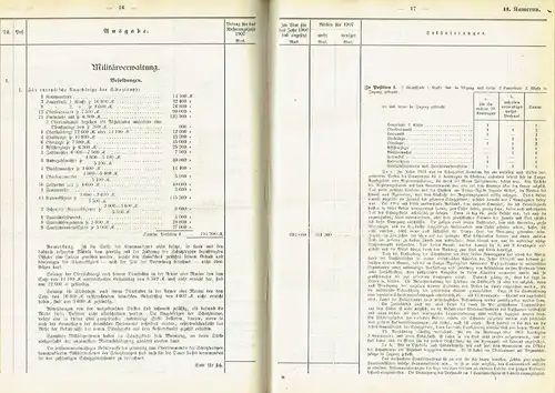 Haushalts-Etat für die Schutzgebiete auf das Rechnungsjahr 1907 nebst Anlagen. 