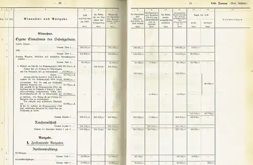 Haushalts-Etat für die Schutzgebiete auf das Rechnungsjahr 1907 nebst Anlagen. 