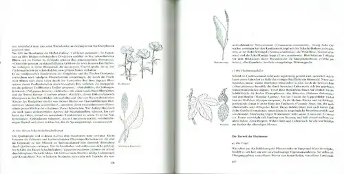 Walter Höhn-Ochsner: Eine Einführung in die Lebensgemeinschaften der Pflanzen- und Tierwelt des Kantons Zürich
 Hinaus in die Natur. 