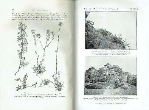 Die Pflanzendecke Österreich-Ungarns
 Auf Grund fremder und eigener Forschungen geschildert. 