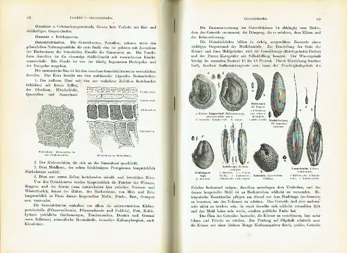 J. Varges: ein illustriertes Lexikon der Nahrungs- und Genußmittel sowie Gebrauchsgegenstände
 Nahrungsmittelchemie. 