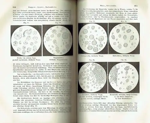 Prof. Dr. Ernst Schmidt: Ausführliches Lehrbuch der pharmaceutischen Chemie. 