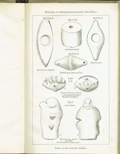 Karl Deschmann: Über die vorjährigen Funde im Laibacher Pfahlbau
 Separat-Abdruck aus Nr. 3 u. 4. Band VII der "Mitteilungen der anthropolog. Gesellschaft zu Wien". 