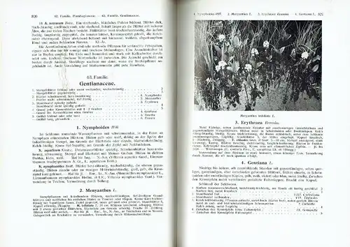 H. R. Wehrhahn: Beschreibung der in Mitteleuropa kultivierten und winterharten Schmuck- und Blütenstauden mit analytischen Bestimmungstabellen - Handbuch für Gärtner, Staudenzüchter und Gartenfreunde
 Die Gartenstauden. 