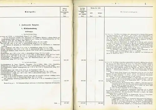 Haushalts-Etat für die Schutzgebiete auf das Rechnungsjahr 1900 nebst Anlagen. 