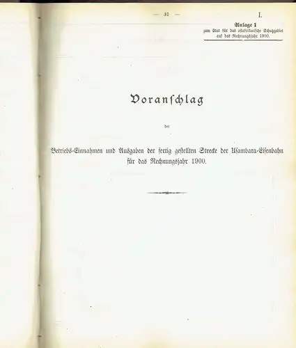 Haushalts-Etat für die Schutzgebiete auf das Rechnungsjahr 1900 nebst Anlagen. 