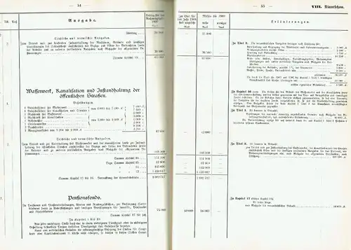 Haushalts-Etat für die Schutzgebiete auf das Rechnungsjahr 1909 nebst Anlagen. 