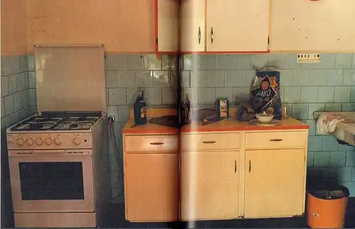 Autorenkollektiv: Dornbusch - es ist nie eine klassische Villa. 